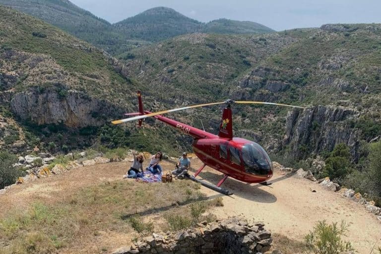 Robinson R44