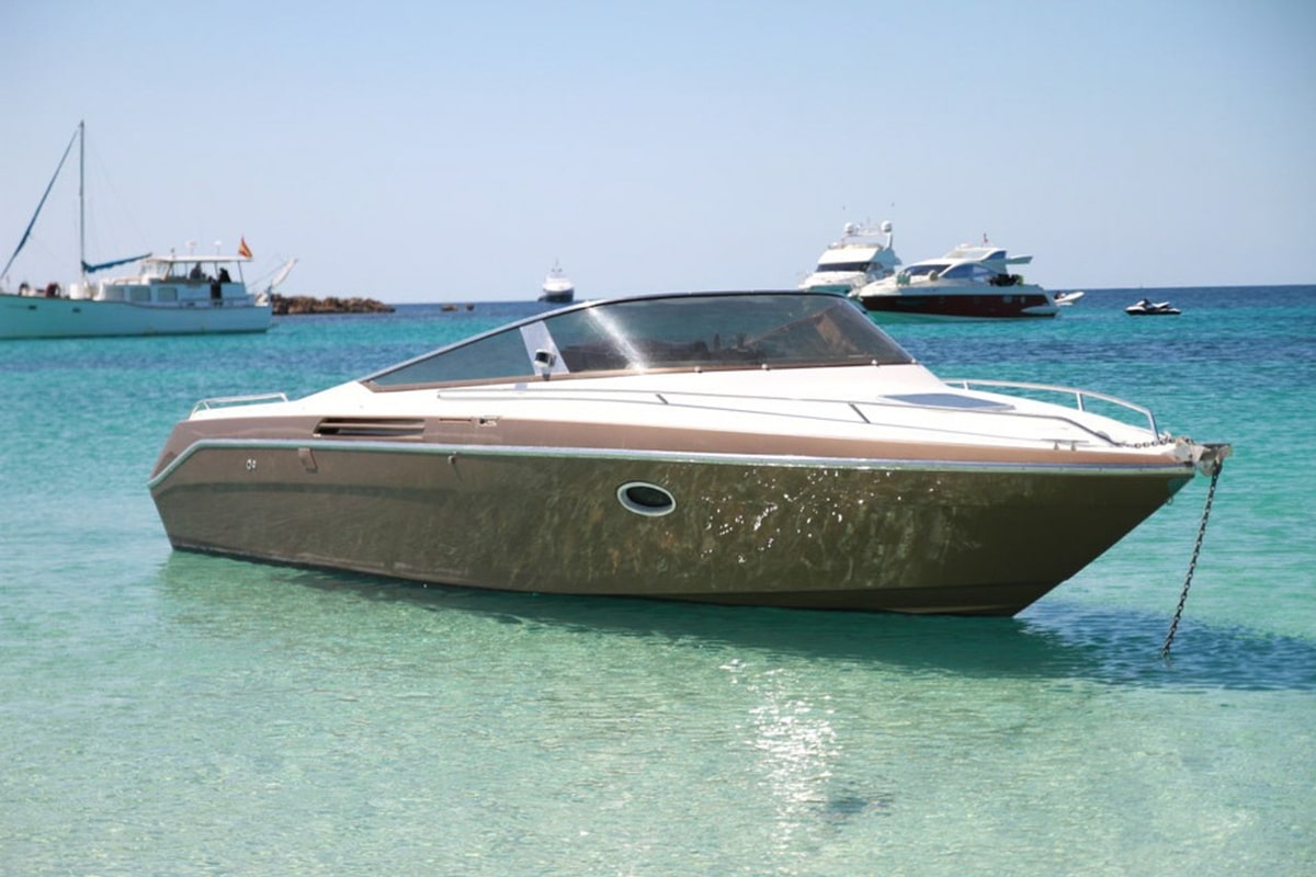 Cranchi  26