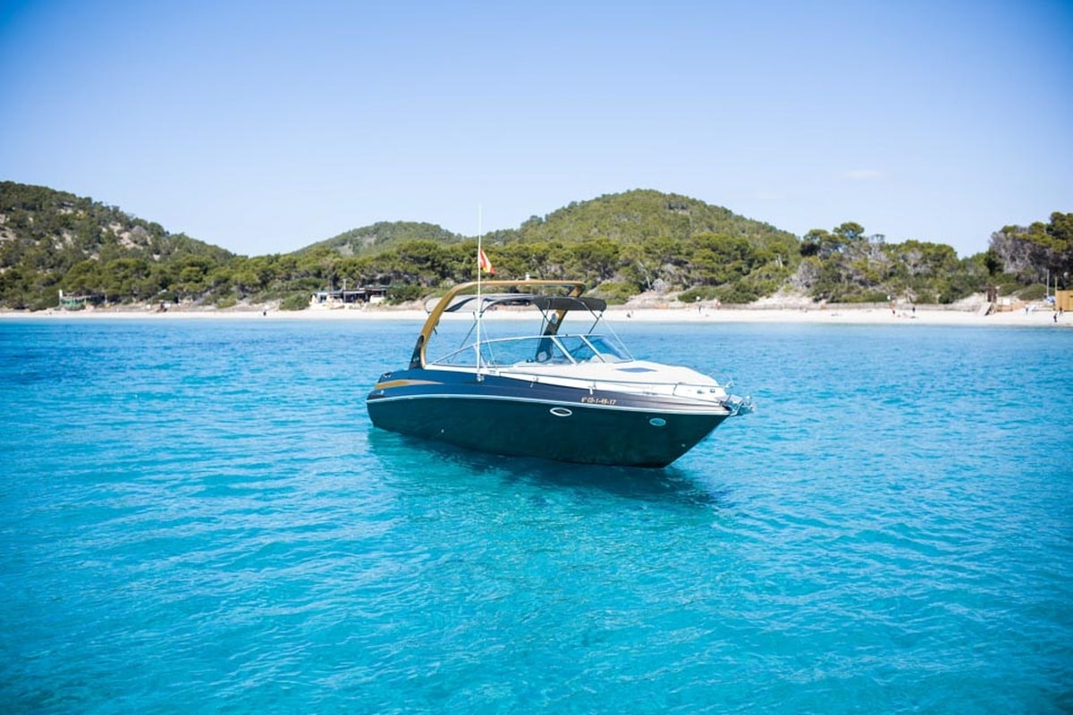Rinker 29