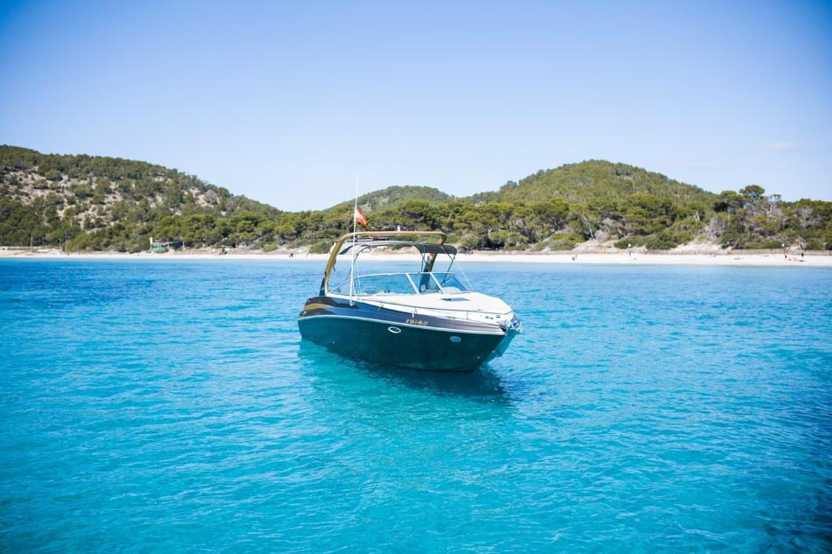 Rinker 29