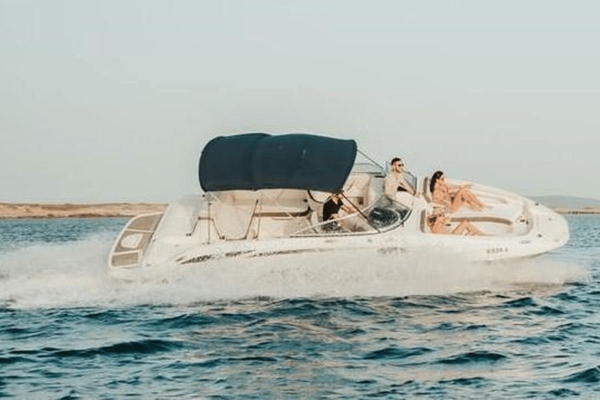 Sea Ray 260 Sundeck