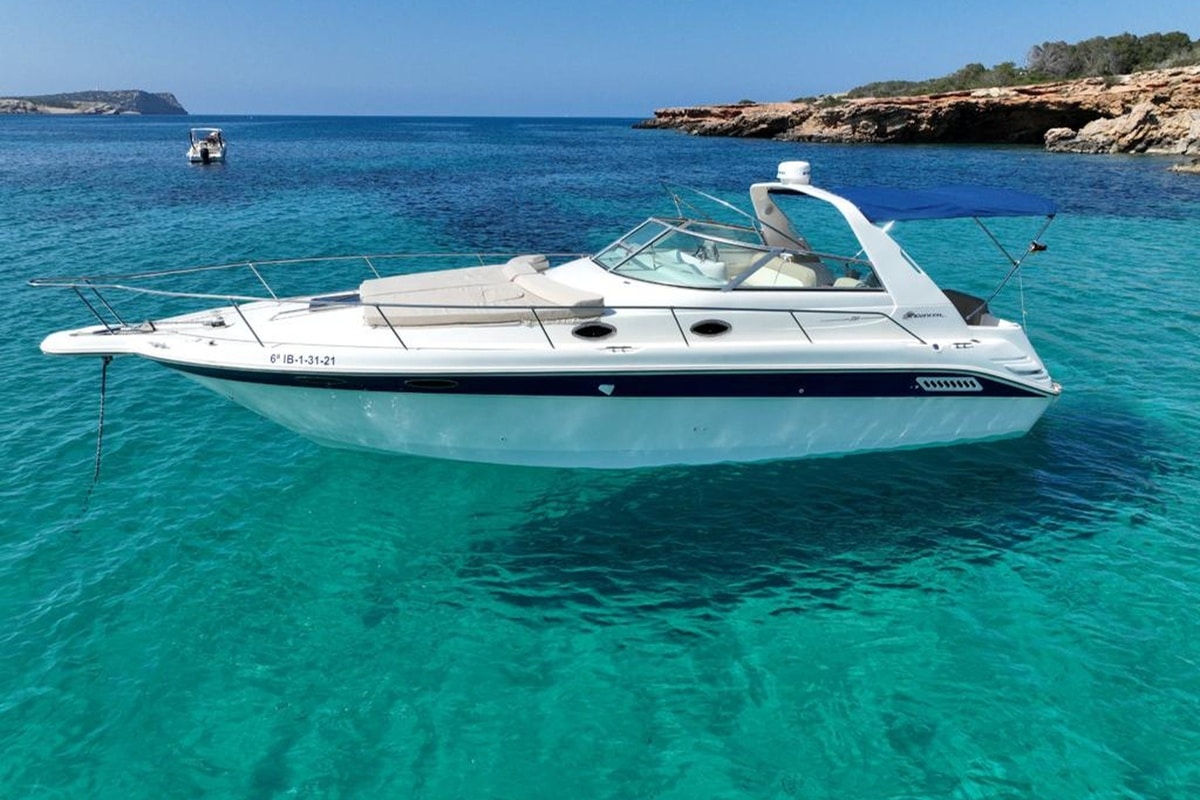 SEA RAY 33