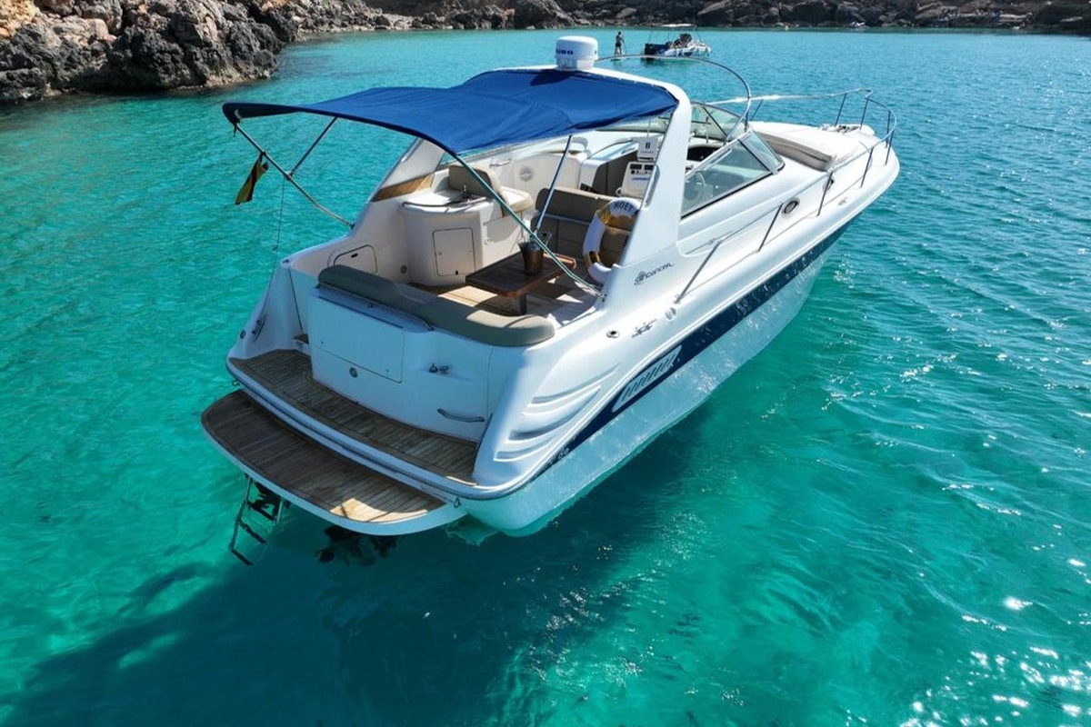 SEA RAY 33