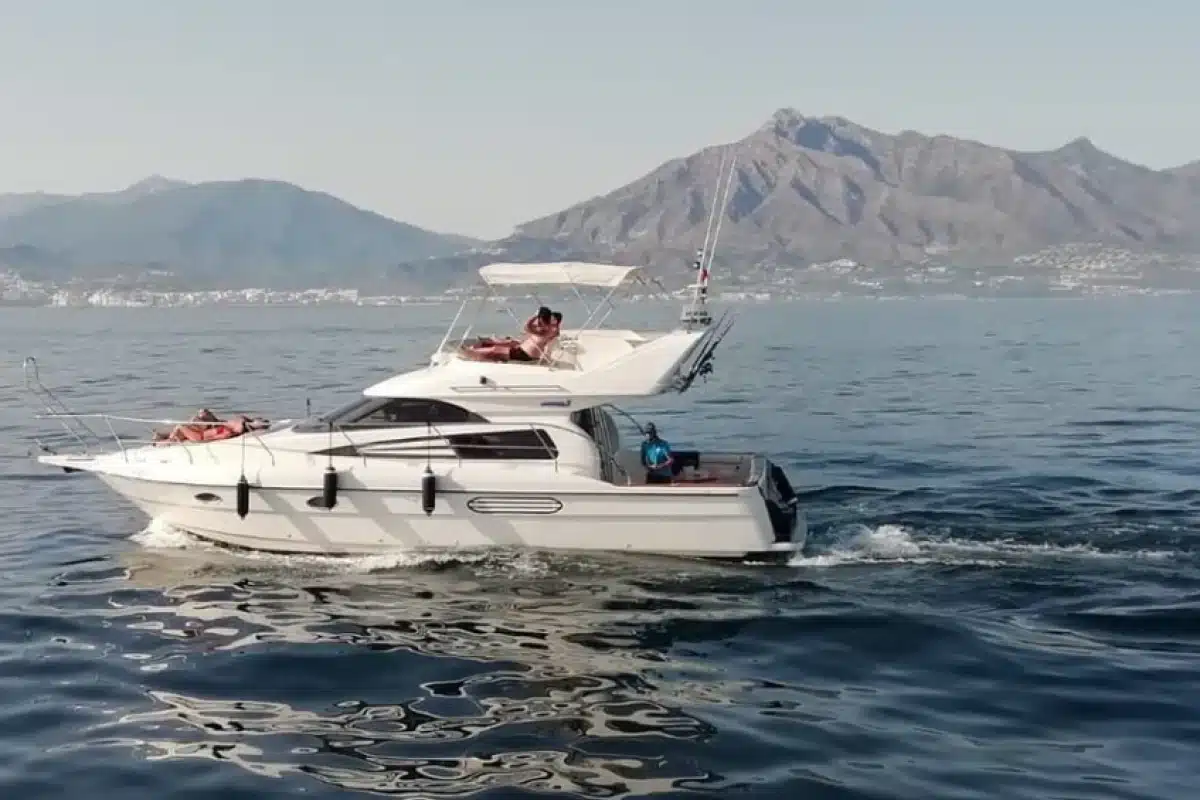 Astondoa 36
