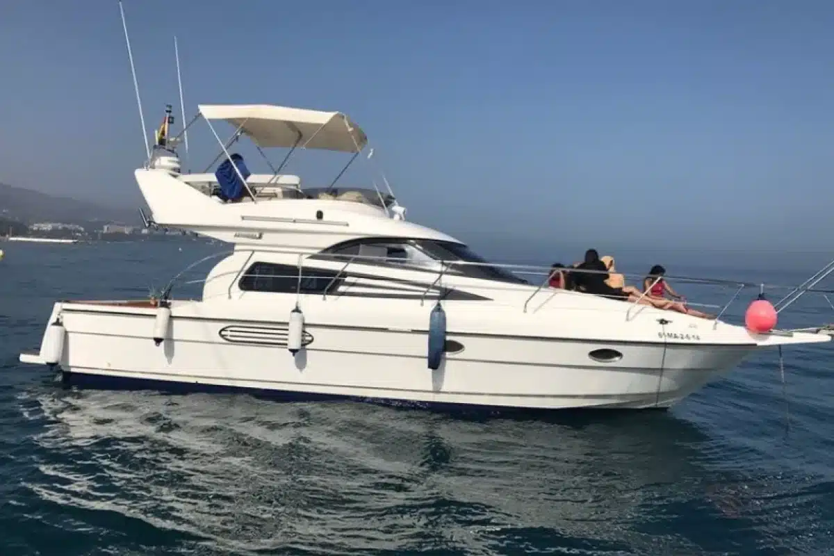 Astondoa 36