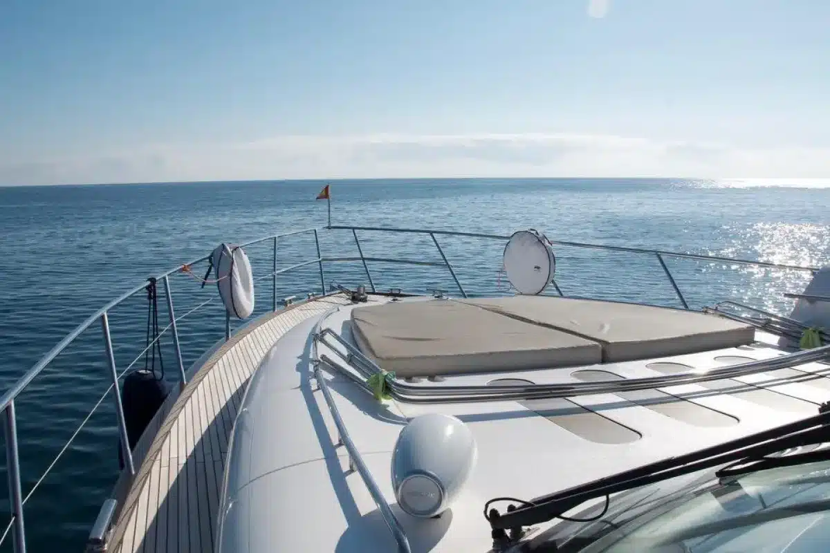 Princess V65