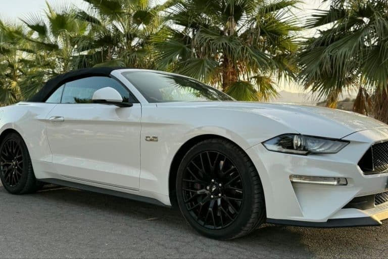 Ford Mustang GT Cabrio 5.0 V8